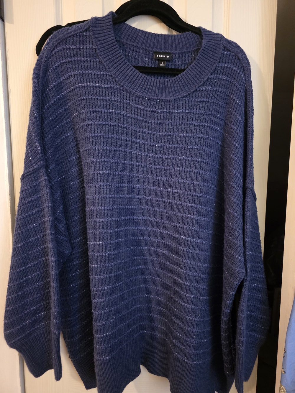 Torrid Purple Crewneck Sweater